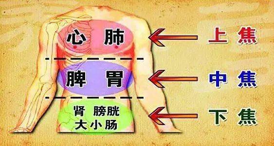 女人背厚最显老你有多久没看过自己的背啦