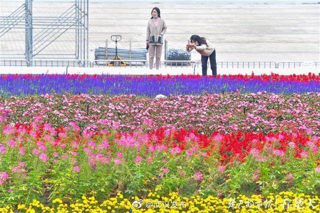 浪姐4一公舞台_草帽姐在舞台为啥_浪姐女神是谁