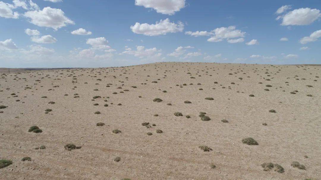 科技干货给退化的草原疗伤一群人一辈子的研究