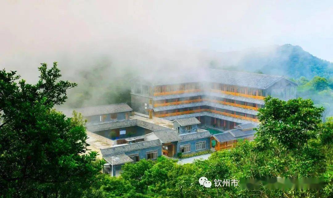 蚝情节,来钦州,住哪里?看这篇推文就够啦!(一)_三娘湾