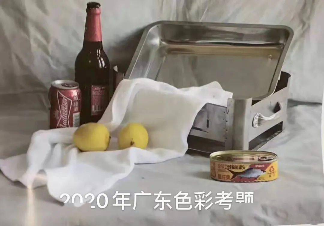 厚一联考直播系列11月1日名师直播2020届广东省素描色彩联考真题示范
