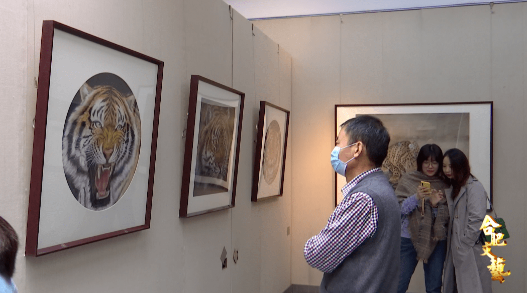 合肥文艺唐青野生动物画展在肥举行