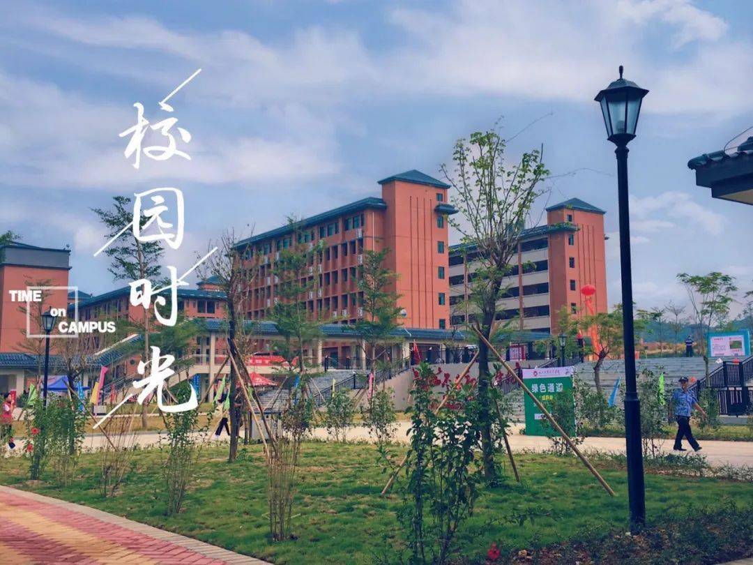 汕头职业技术学院,汕尾职业技术学院,罗定职业技术学院等院校是师范类