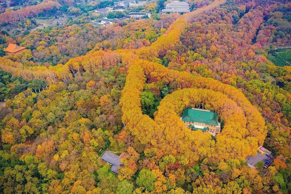 11月必去旅行地推荐!一入秋,这些地方个个都美到无法呼吸!_南京