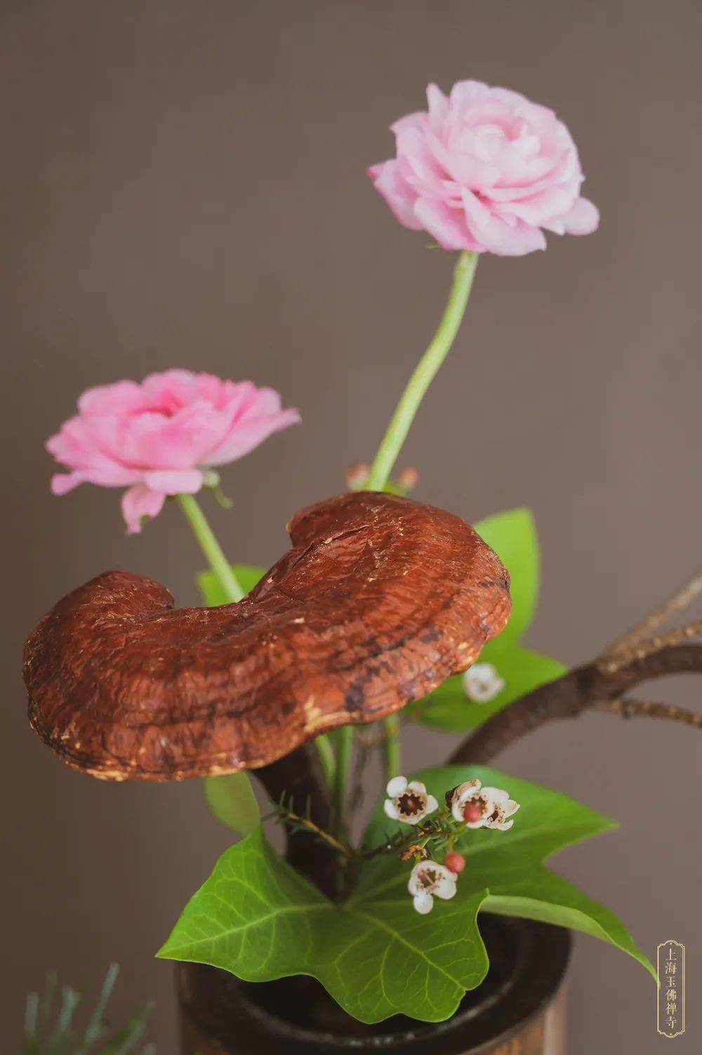 香期香花供养观世音祈愿众生如意得自在