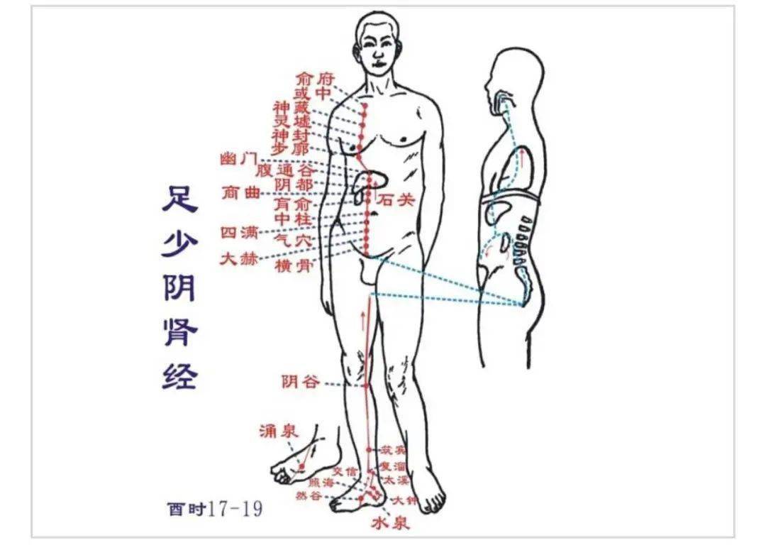 腿,是寒气大本营!如何驱寒?学会这招,一步到位!