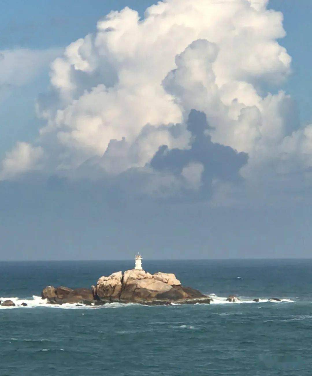 惠来这些神奇的龟石你见过几个