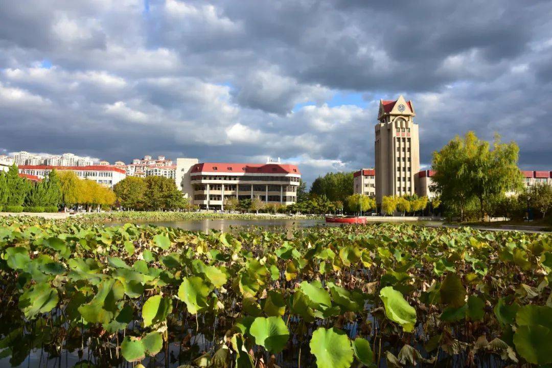 煙臺大學學子為醉美校園秋色作煙園秋色賦