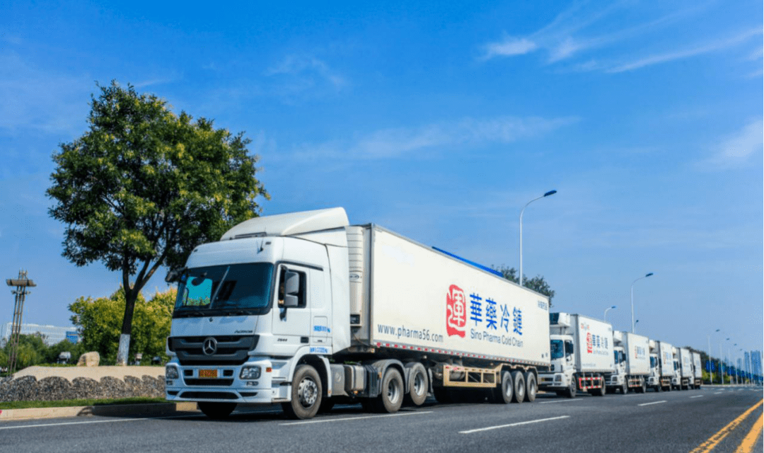 盛世华人中国医药冷链运输企业领先者67