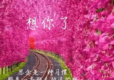 情感的世界里,爱到深处无法自拔,情深意浓无人可以代替,若是谁爱着爱