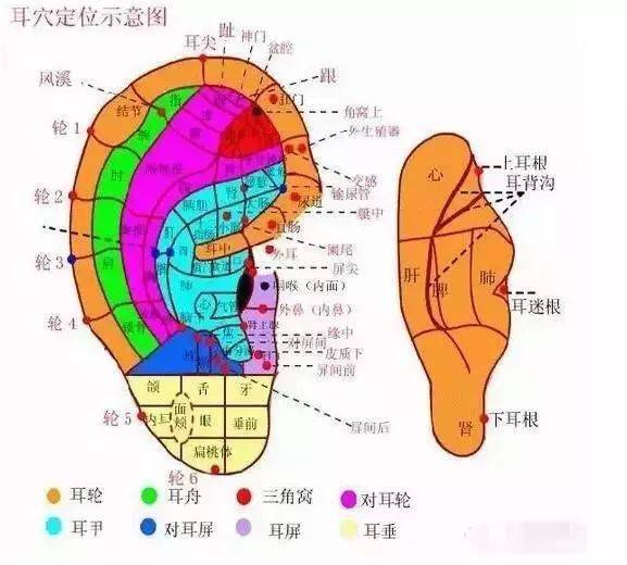 艾灸身上这一个部位,好处竟然这么多,灸一次等于保养了一次全身的经络