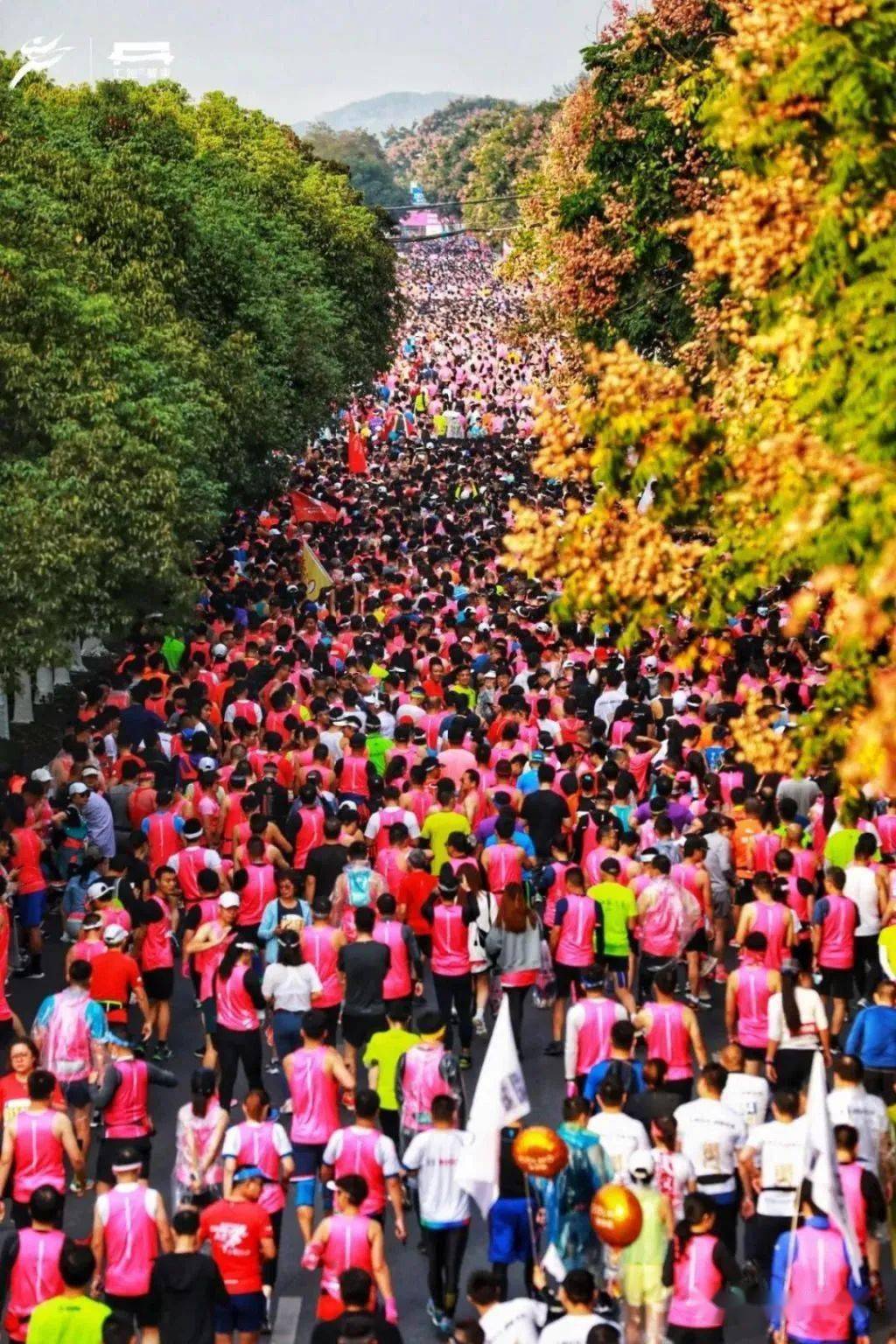 2020无锡马拉松开跑