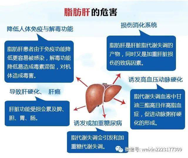 肝脏有10大功能和作用保护肝脏我们义不容辞