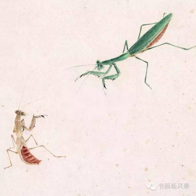 画草虫大师齐白石:你数过螳螂翅上的细筋有多少根吗?