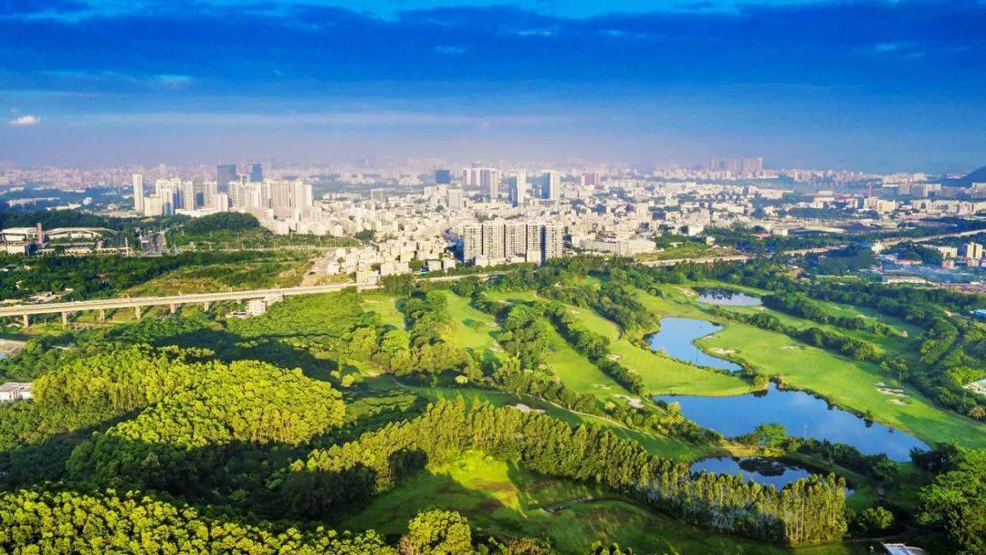 【聚焦】政策大礼包!光明区支持3+1产业发展的若干措施来了!_企业