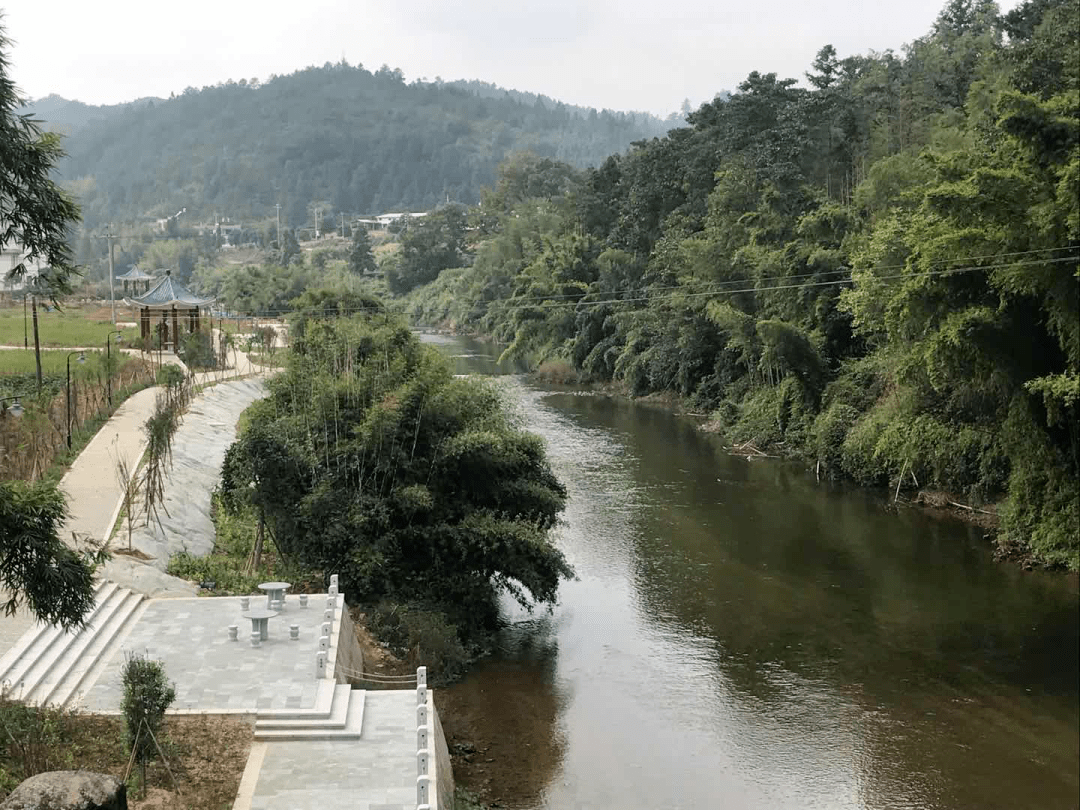 桃溪镇河长办,环保站对辖区内的新贡村,鲁溪村,桃溪村,湘里村,小澜村