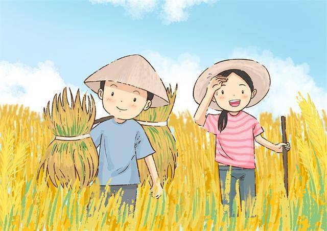 体验生活四川一高校将种田纳入必修课学生需亲自下田种地挣学分