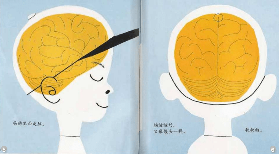 朔图资源绘本推荐我们的头脑你知道吗大脑其实是身体里最胖的器官