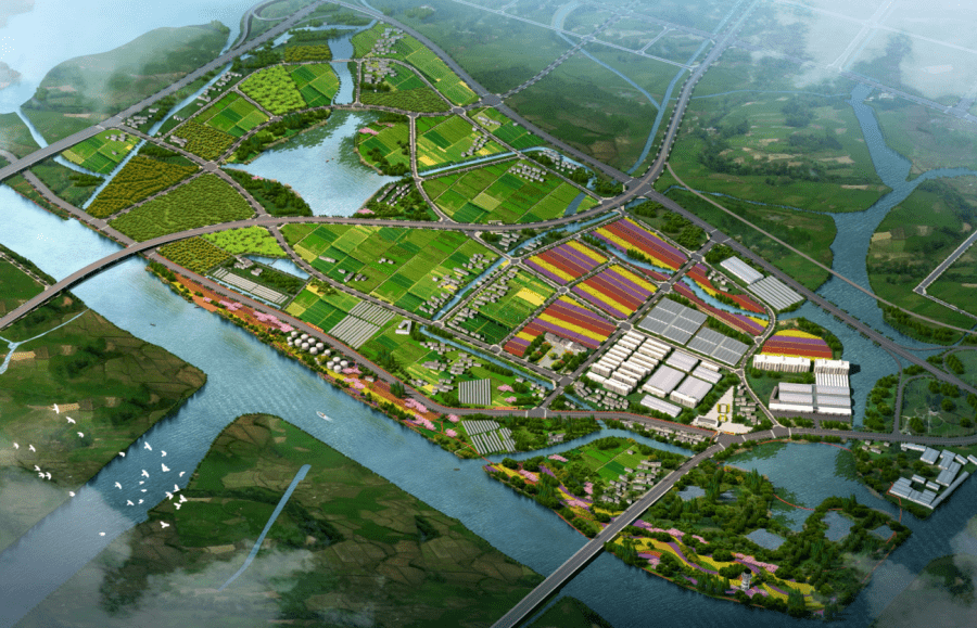 —平望镇"第一时间"部署落实民生实事项目人大代表