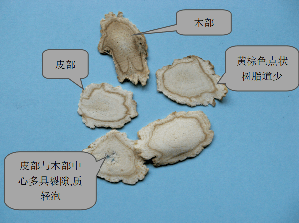 常见中药药材_中药常见药材有哪些及其功效_中药药材常见有哪些