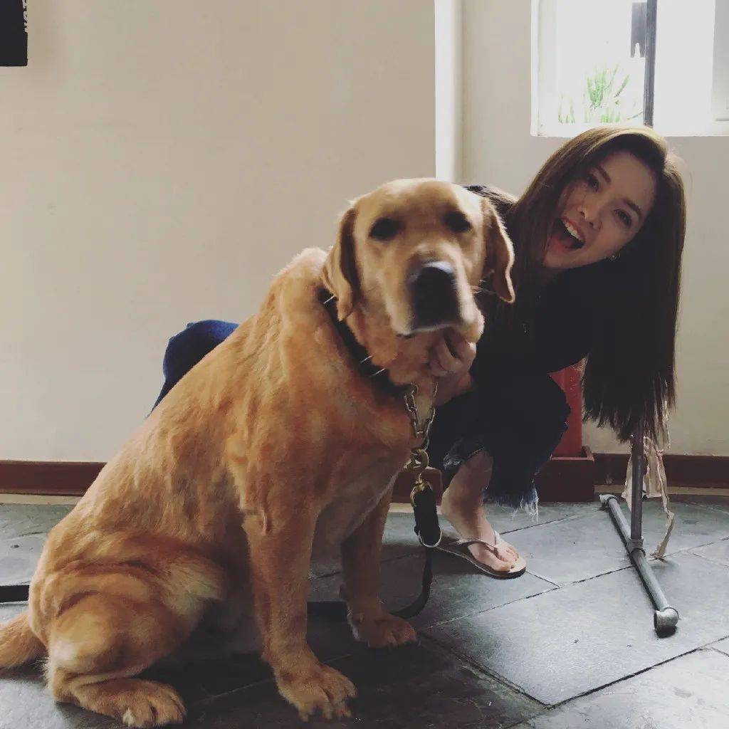 手机壁纸头像王洋