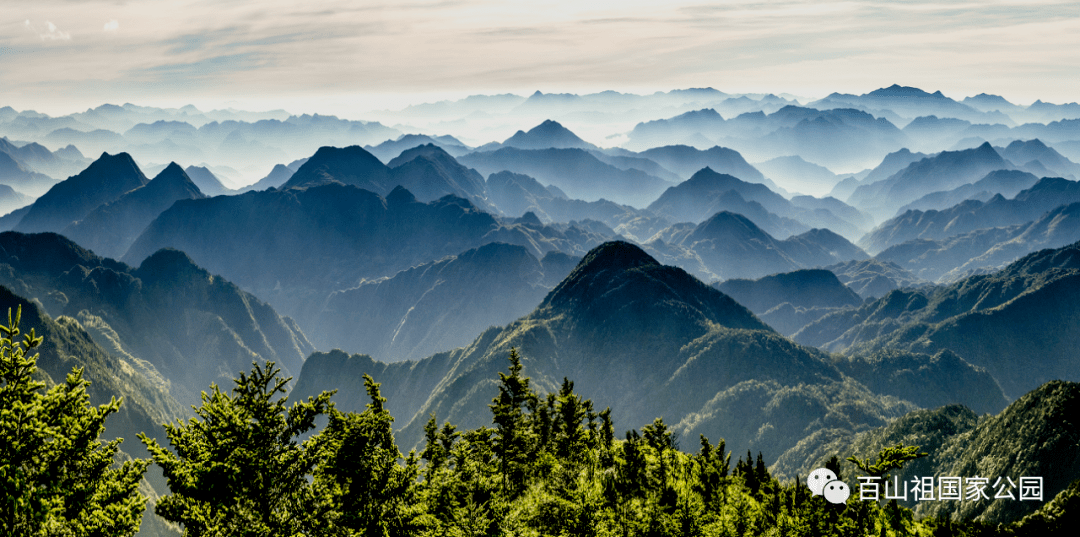 山是眉峰聚 水是眼波横 一起打卡庆元百山祖气象旅游区