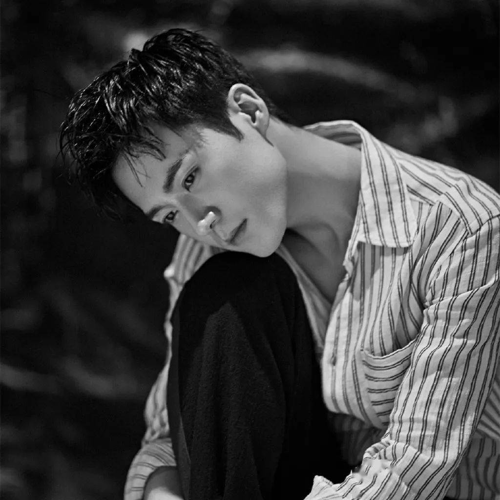 微信头像茅子俊