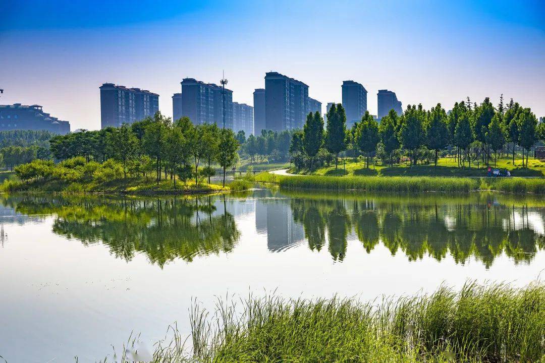 郑州龙子湖景区图片
