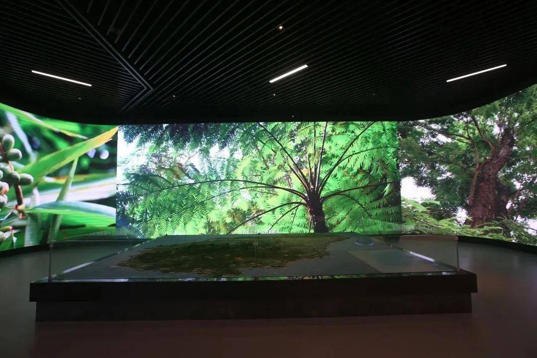 展馆分享丨海南史志馆