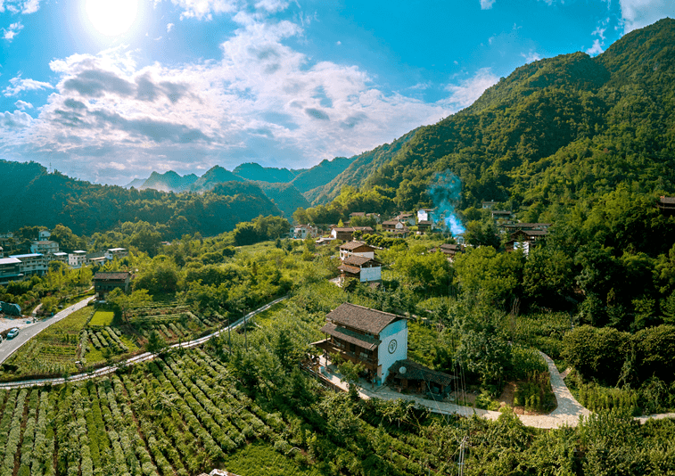 平武茶香小镇图片