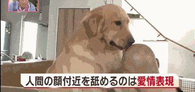 400_190gif 动态图 动图