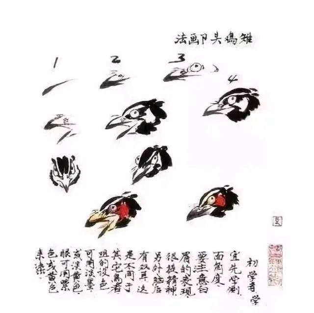 【国画教程】工笔雉鸡的基础画法