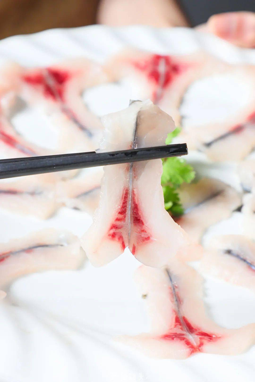 4折吃脆鲩鱼真是太赞了