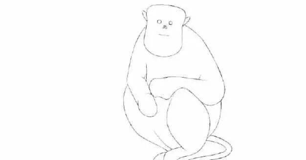 滇金丝猴简笔画 可爱图片