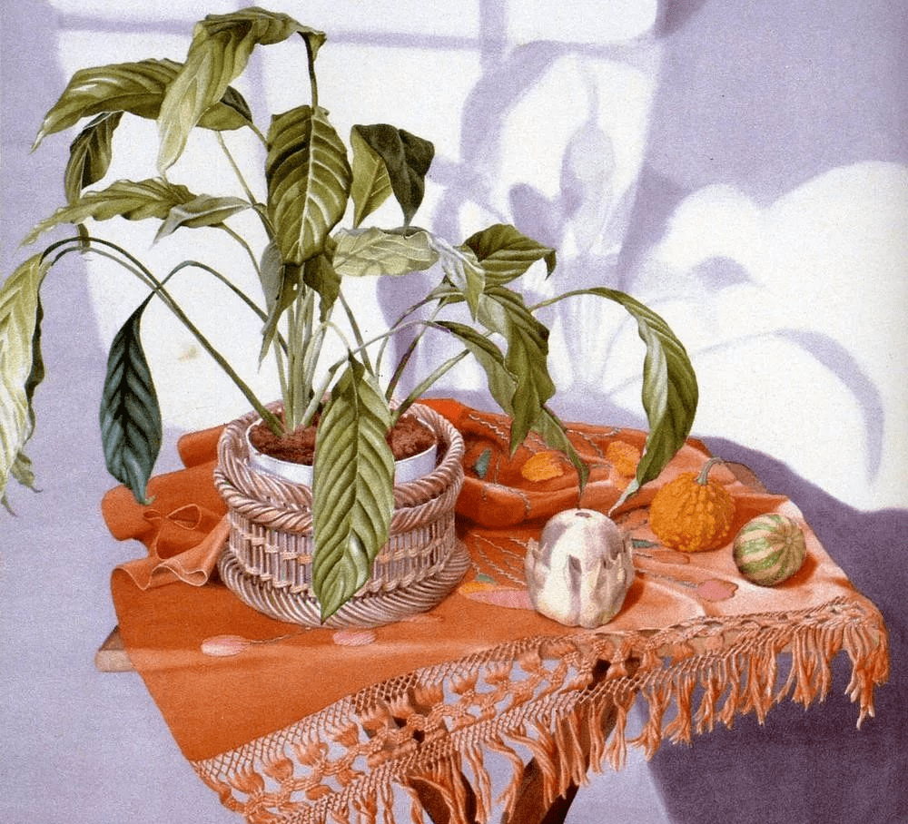 平静生活,美到窒息的超写实水彩,来吸一口!