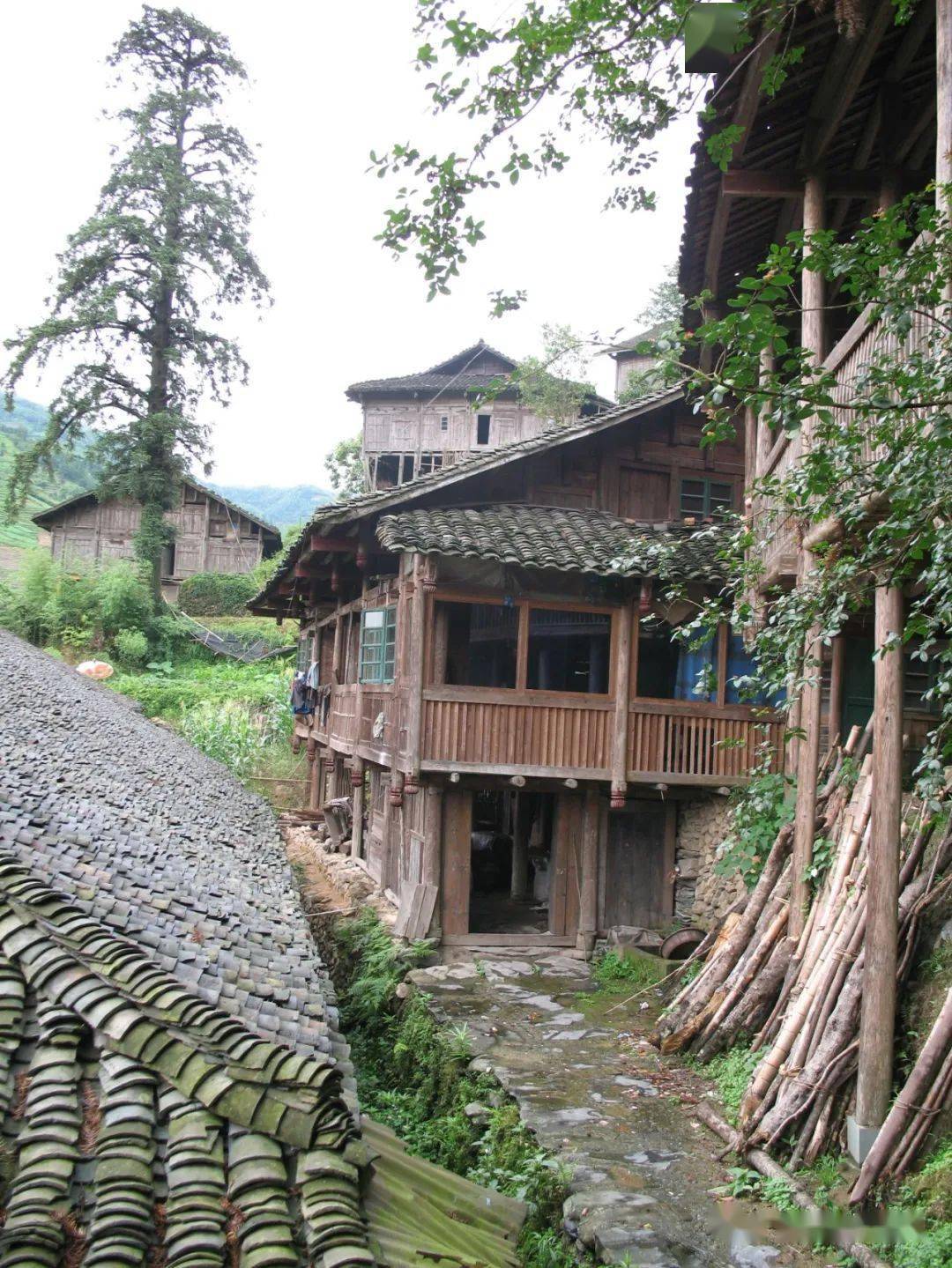 镇金竹壮寨民居约从新石器时代中期开始,壮族先民已经从山洞中走出来