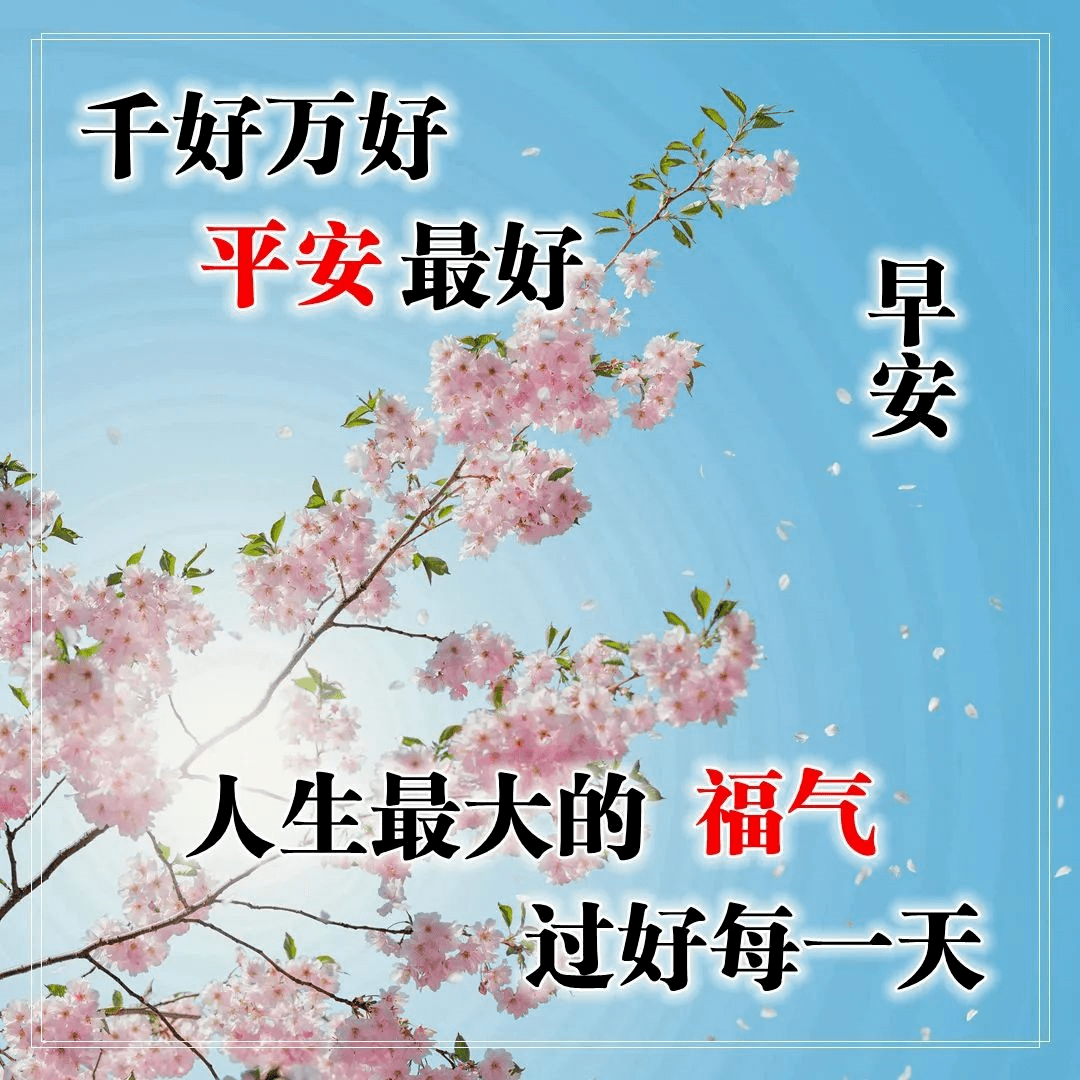 11月6日早上好问候语图片早晨好祝福语表情大图微信