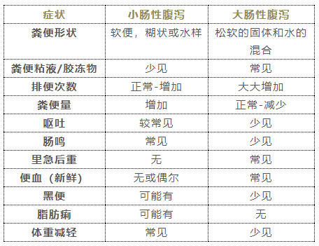 猫小肠大肠图解图片