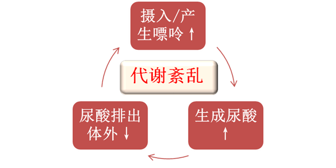 如果酶存在先天性异常或存在其他尚未明确的因素,致使代谢紊乱,尿酸的