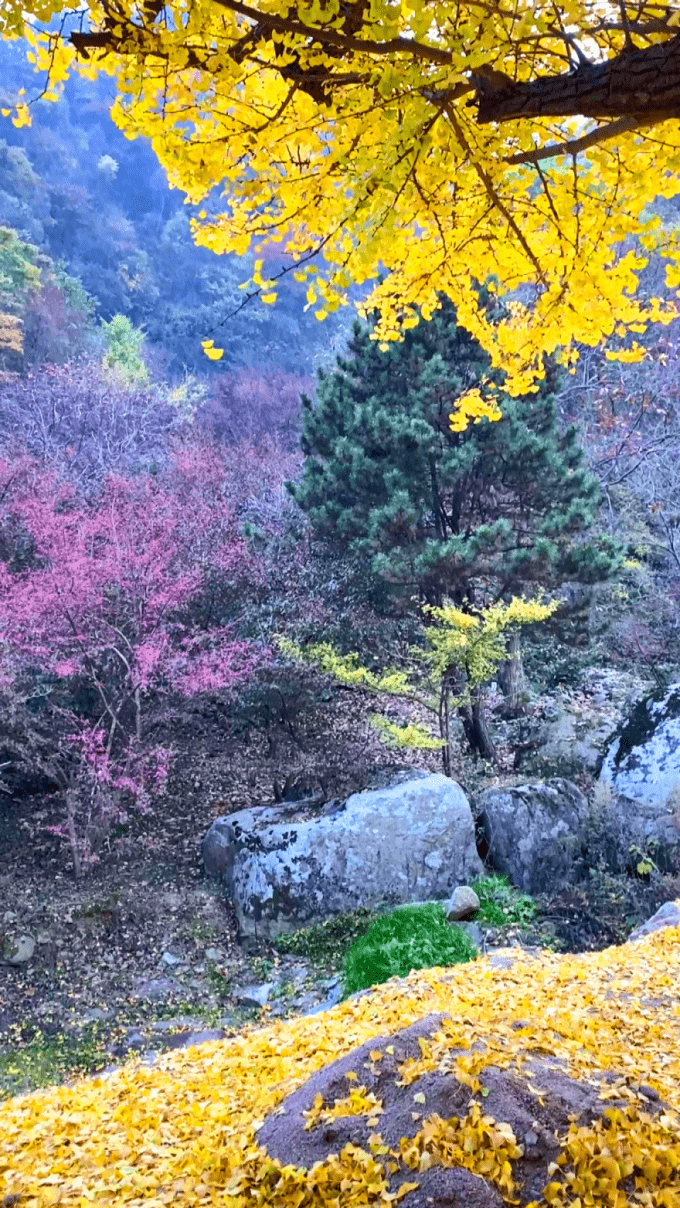 嵩县白河图片