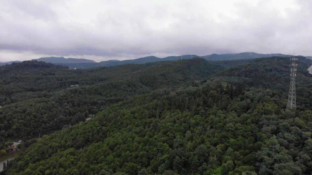 滇西高原 特战精兵翻山越岭一招制敌练就过硬本领,挑战自我极限最好的