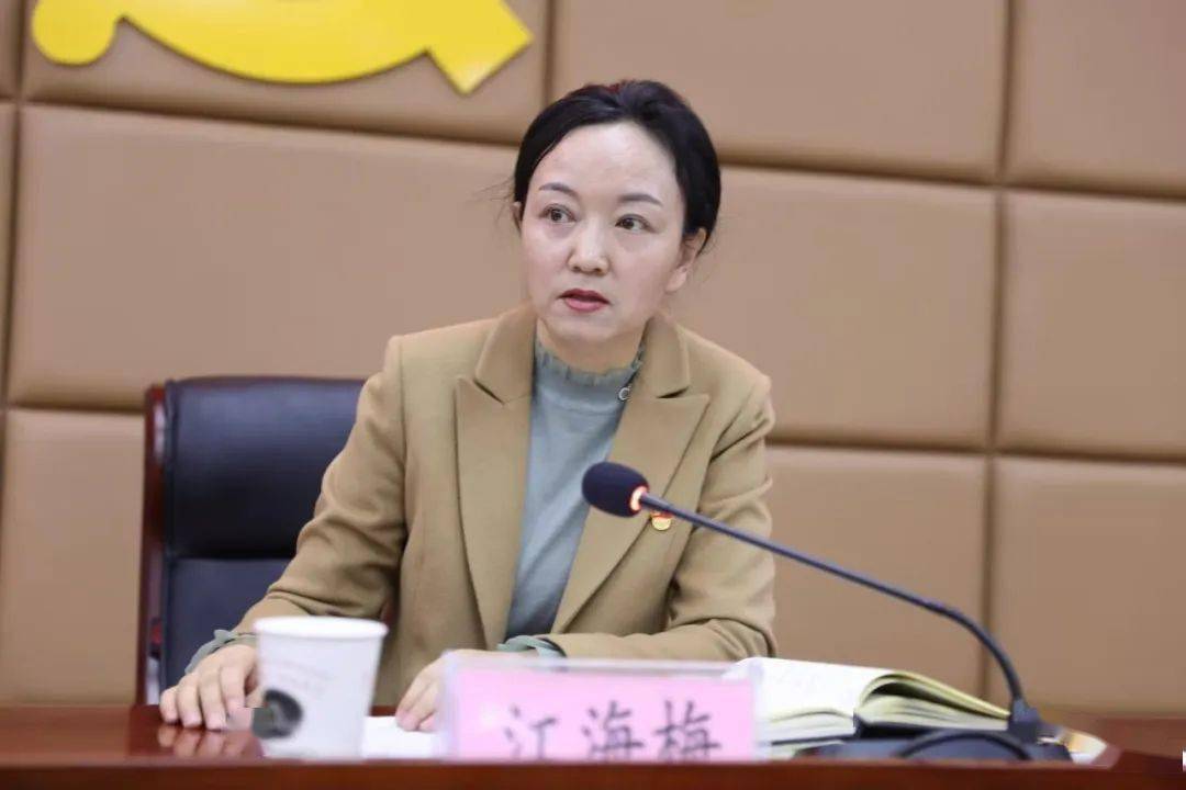 作风建设江海梅要用打铁还需自身硬的底气推进作风突出问题集中整治