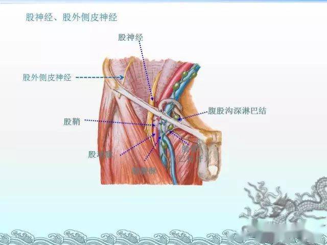 来源:同济麻醉论坛《人体螺旋动力疗法》,仅需93.