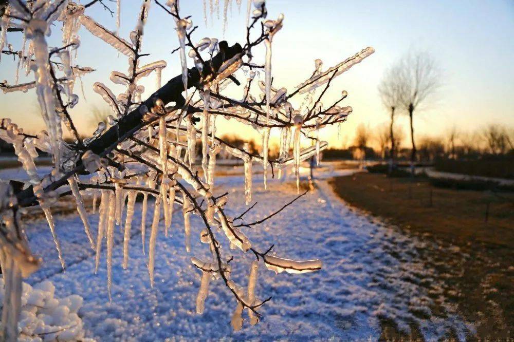 立冬 | 朔风始起,万物境藏