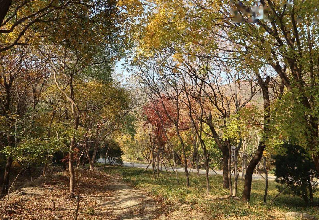 尽染与苍茫观天高水长赏叶落纷纷与心对饮不妨温热理想风会更加凌冽