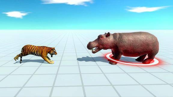 老虎单挑河马谁的胜算更大一点结局真够意外的