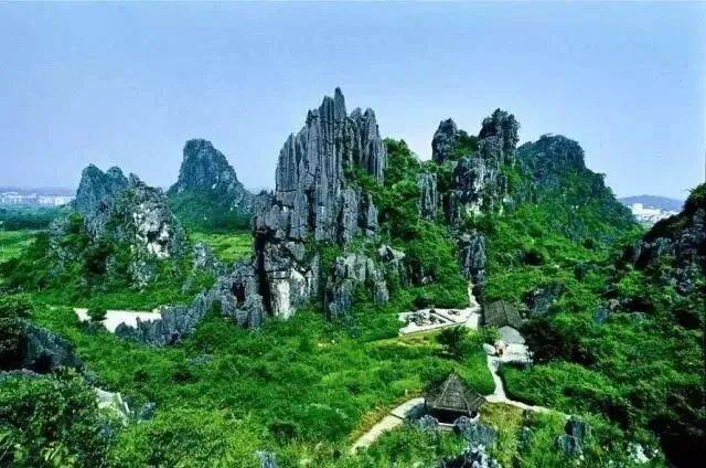 《七十二家房客》369 西洋菜 奀妹 要来春湾!_石林