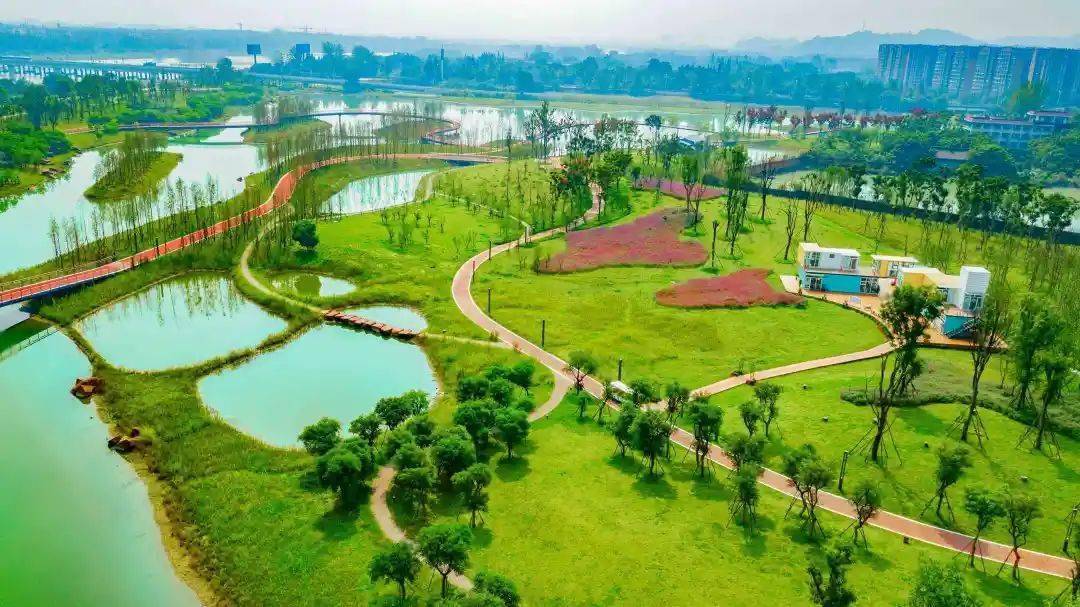 14公顷的国家级湿地公园,以水为魂,以林为骨,以洲为