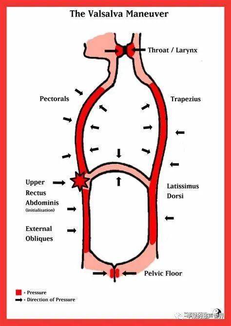 改良valsalva动作图解图片