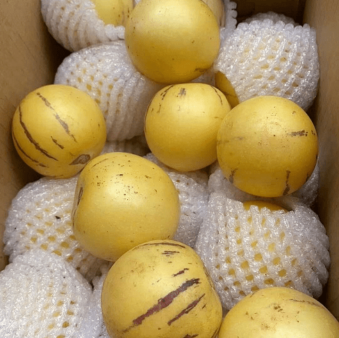 包邮第二批福利价199元5斤装带箱人参果独特的香甜皮薄肉厚又多汁